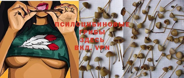 дмт Балахна