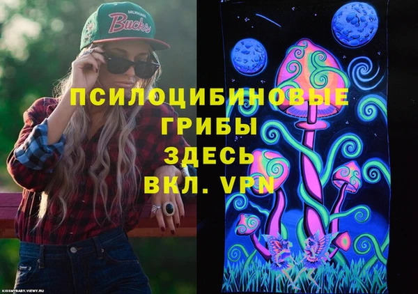 дмт Балахна